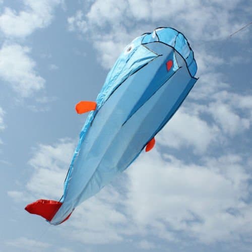 Huge Parafoil Giant Dolphin 3D Kite Frameless Soft Blue 100' line Easy to Fly