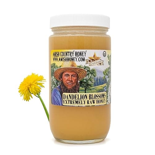 Goshen Honey Amish Country DANDELION Extremely Raw 100% Natural Health Benefits Unfiltered Unpasteurized OU Kosher Certified | 454 G Glass Jar