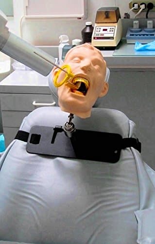 Dental X-Ray Simulator Manikin Training Model