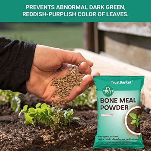 TrustBasket Organic Bone Meal for Plants Home Gardening | Steamed Bone Meal | Rich in Phosphorus and Calcium | Natural Plant Fertilizer| - 450 Grams (Set of 2)