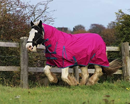 Equestrian KingLightweight No Fill Turnout Horse Rug 600D Standard And Combo Neck Waterproof Raspberry (Combo, 7'0'')