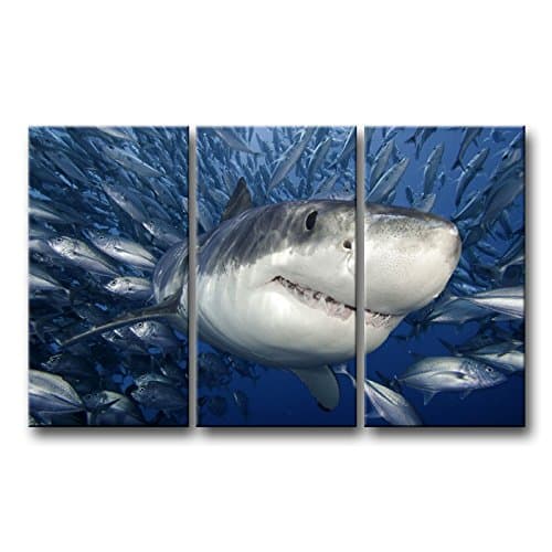 Shark Wall Art Blue Painting Shark Catching Fish Pictures Prints On Canvas Animal The Picture Decor Oil for Home Modern Decoration Print