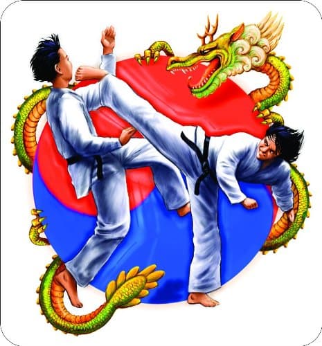 12" TAEKWANDO Printed engineer grade reflective vinyl decal sticker for any smooth surface such as windows bumpers laptops or any smooth surface.