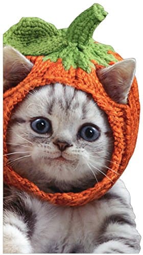 Avanti, Avanti Kitten Knit Pumpkin Hat LBF