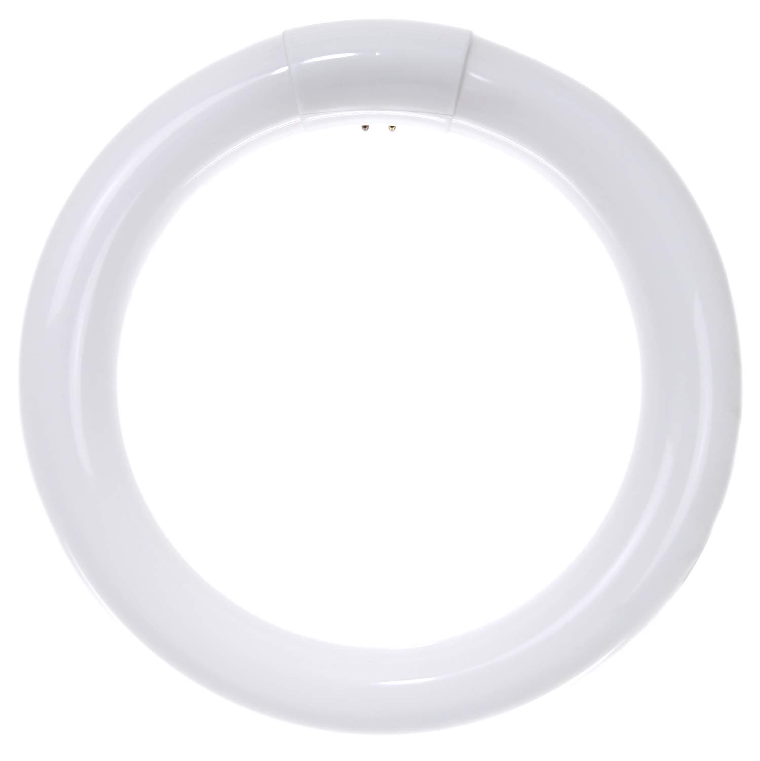 41316 FC8T9/CW 8-Inch T9 Round Fluorescent Circline Lamp, 22 Watts, 1250 Lumens, 4100K Cool White, G10Q 4-Pin Base, 1 Pack