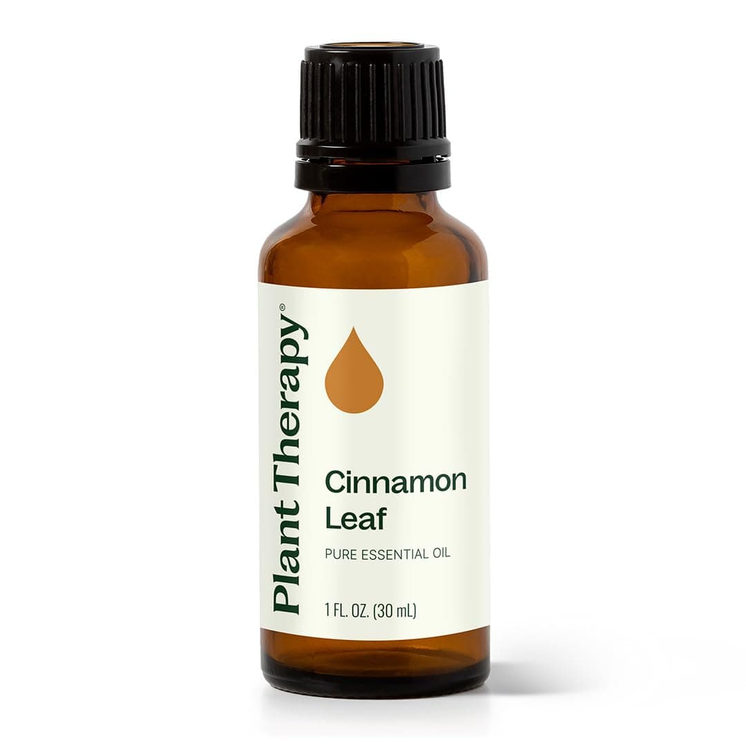 Plant Therapy Cinnamon Leaf Essential Oil 30 mL (1 oz) 100% Pure, Undiluted, Aromatherapy, Cozy Scent, Sore Muscle Relief