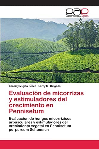 Evaluación de micorrizas y estimuladores del crecimiento en Pennisetum: Evaluación de hongos micorrízicos arbusculares y estimuladores del crecimiento vegetal en Pennisetum purpureum Schumach