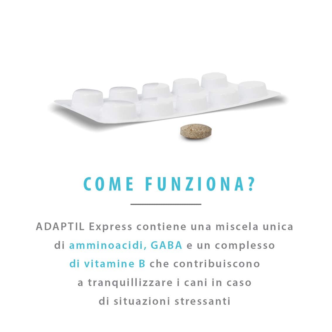 Adaptil Compresse 10t