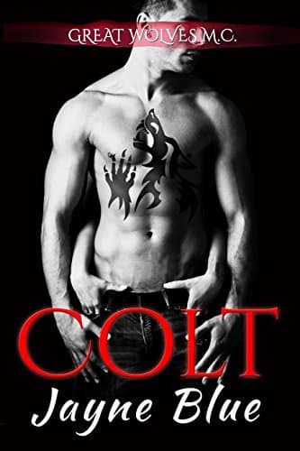 Colt (Great Wolves MC - Ohio Chapter Book 1)