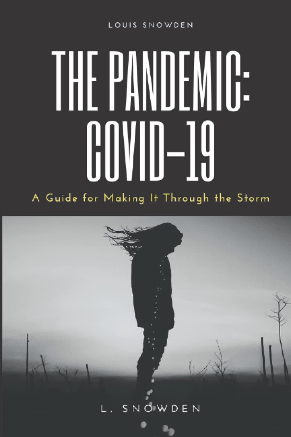 The Pandemic: COVID-19: A Guide for Making It Through the Storm