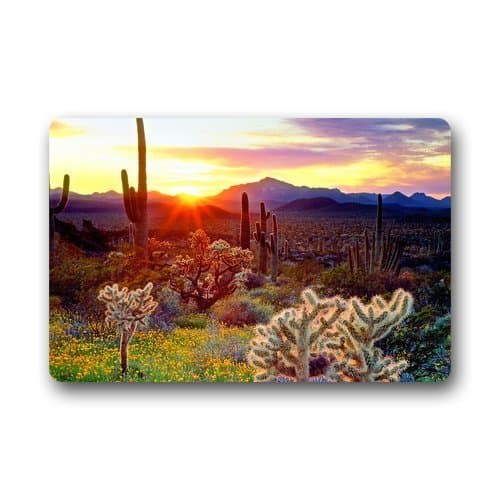 Tommy GTA Cactus Background Doormat/Gate Pad for outdoor£¬indoor£¬bathroom use!23.6inch(L) x 15.7inch(W)