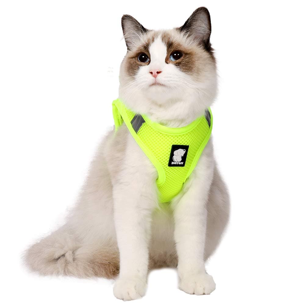 HEYWEAN Cat Harness and Leash - Ultra Light Escape Proof Kitten Collar Cat Walking Jacket with Running Cushioning Soft and Comfortable Suitable for Puppies Rabbits