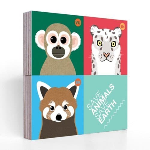 Office Products - Ailurus fulgens Block Magnet Set