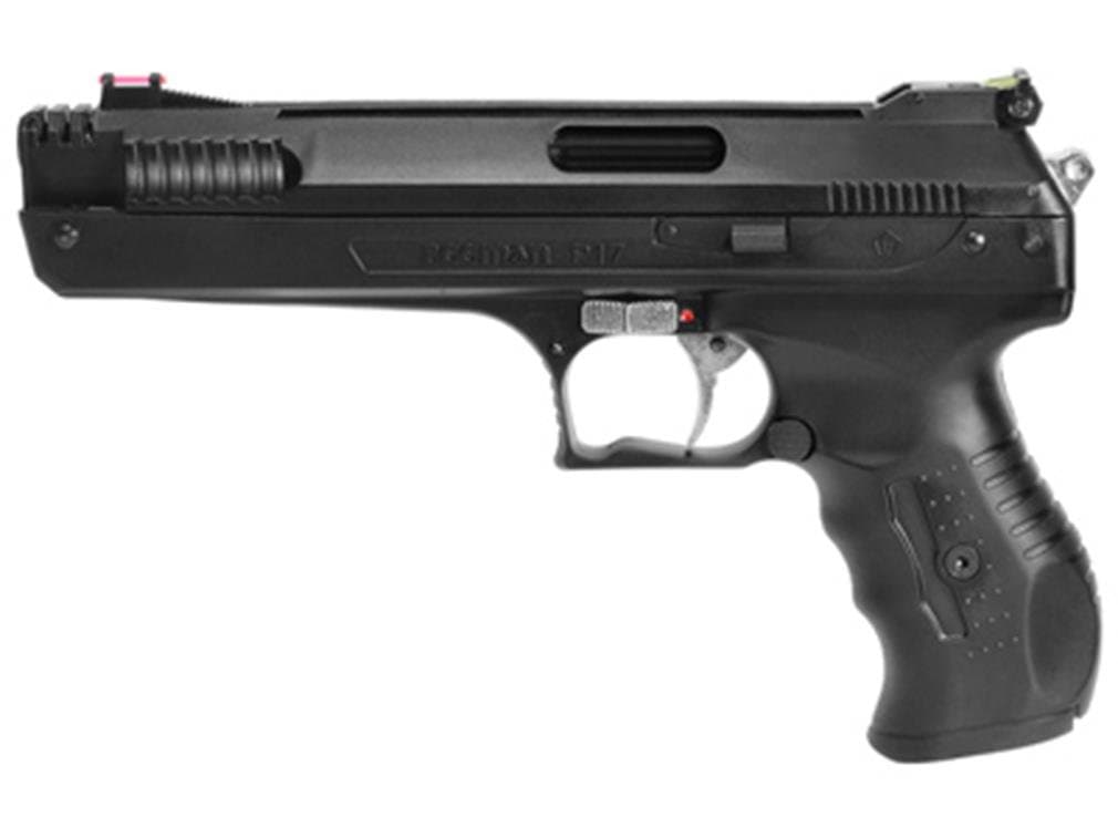 Sportsman Series Deluxe Air Pistol - Model 2004