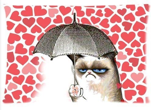 1AlexStore Pillowcase Standard 20x30 Inch two Sides Zippered Pillow Cover Grumpy Cat I Have a Umbrella