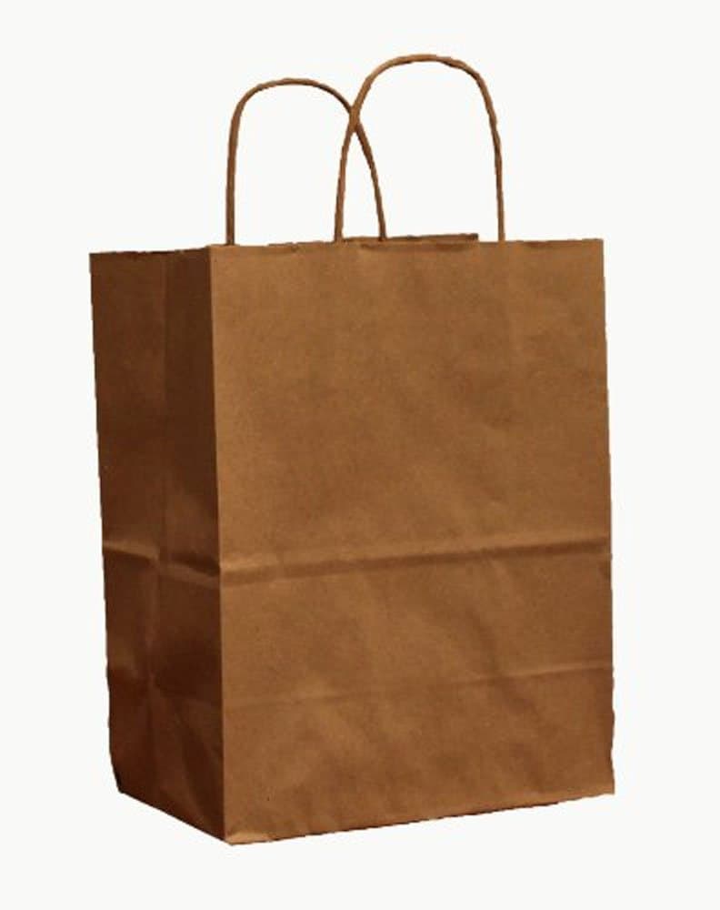 10 Heavy Paper Bags with Handles, 8"x4-3/4"x10-1/4" Tall (Brown Kraft)