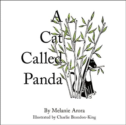 A Cat Called Panda Hardcover – Picture Book, September 13, 2016