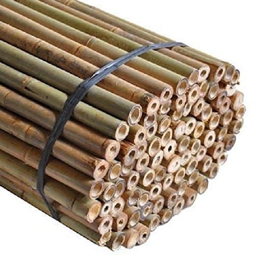 Sandal Stars Heavy Duty Thick Strong Professional Bamboo Plant Support Garden Canes 2ft x 7ft, 8mm to 16mm Thick Cheap Budget Price 20, 4ft (120cm)