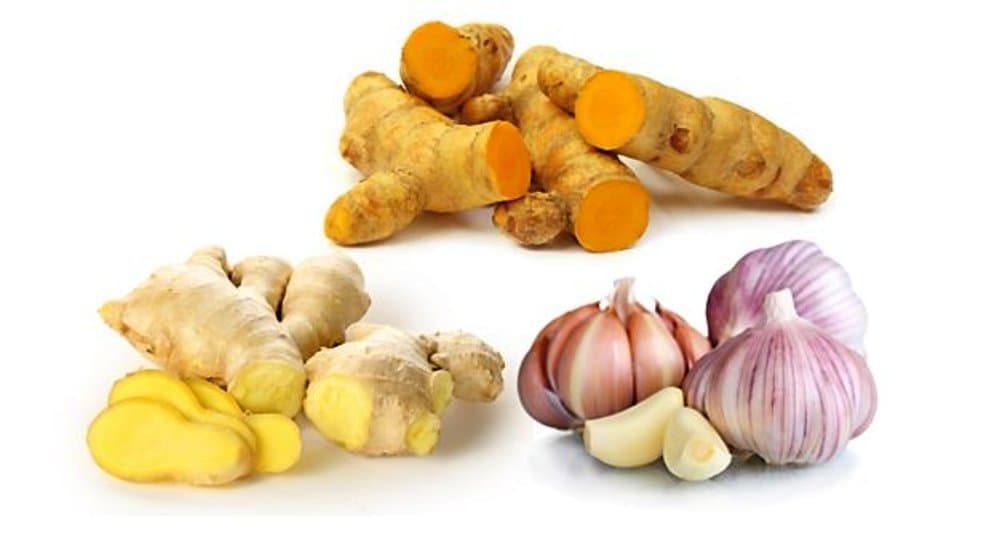 GG&T - Organic Ginger, Garlic and Turmeric - 270 Capsules - 3 Bottle Pack - 500 mg - Circulatory Health from Natural Ginger, Turmeric Curcumin and Garlic Allium.