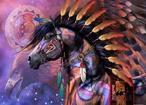 THF Full Drill Beautiful Diamond 5D DIY Diamond Painting 3D Embroidery Cross Stitch Rhinestone Mosaic Painting Home Decor Indian Horse Eagle 30X40CM