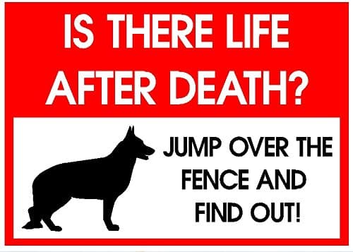 Is There Life After Death - GUARD DOG - SIGN from £3.49 - Multiple size and material options available (Option 1 297x210x3mm PVC)