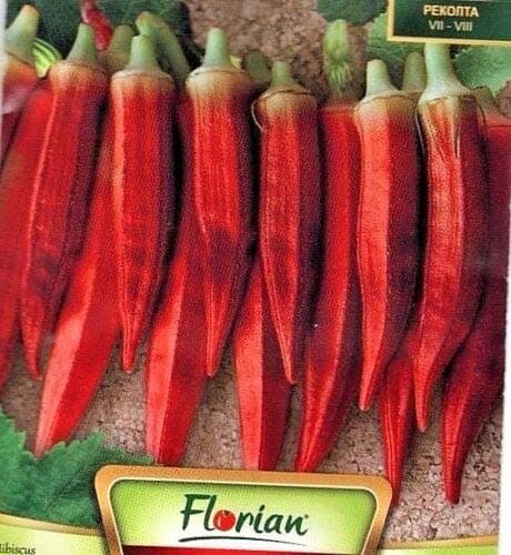 Wafer Okra - Burgundy RED - Hibiscus ESCULENTUS L.- 90 Quality Vegetable Seeds /704