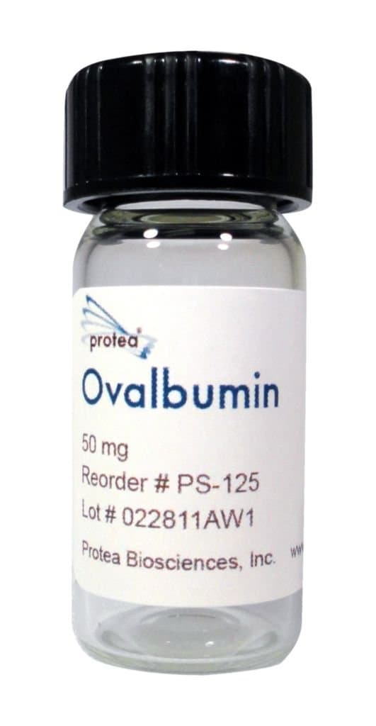 Protea PS-125-1 Ovalbumin, 50 mg