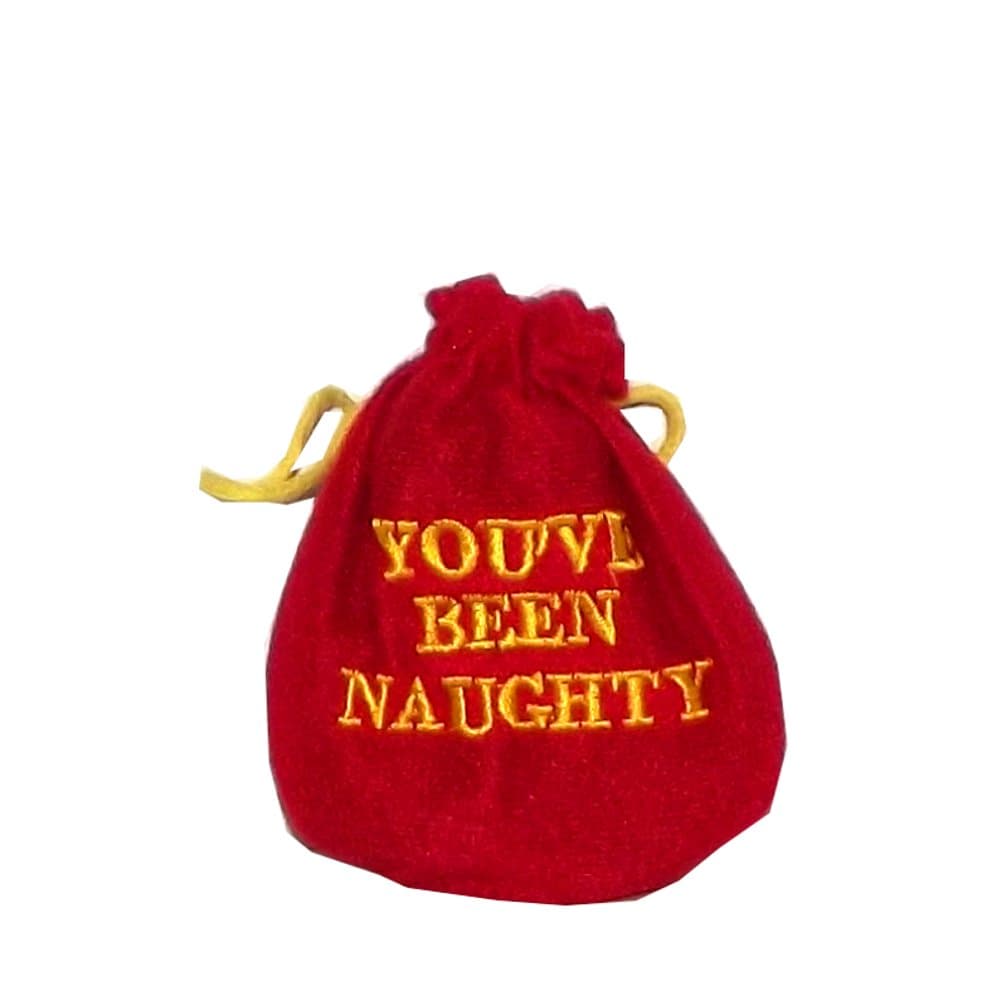You've Been Naughy Bag of Coal