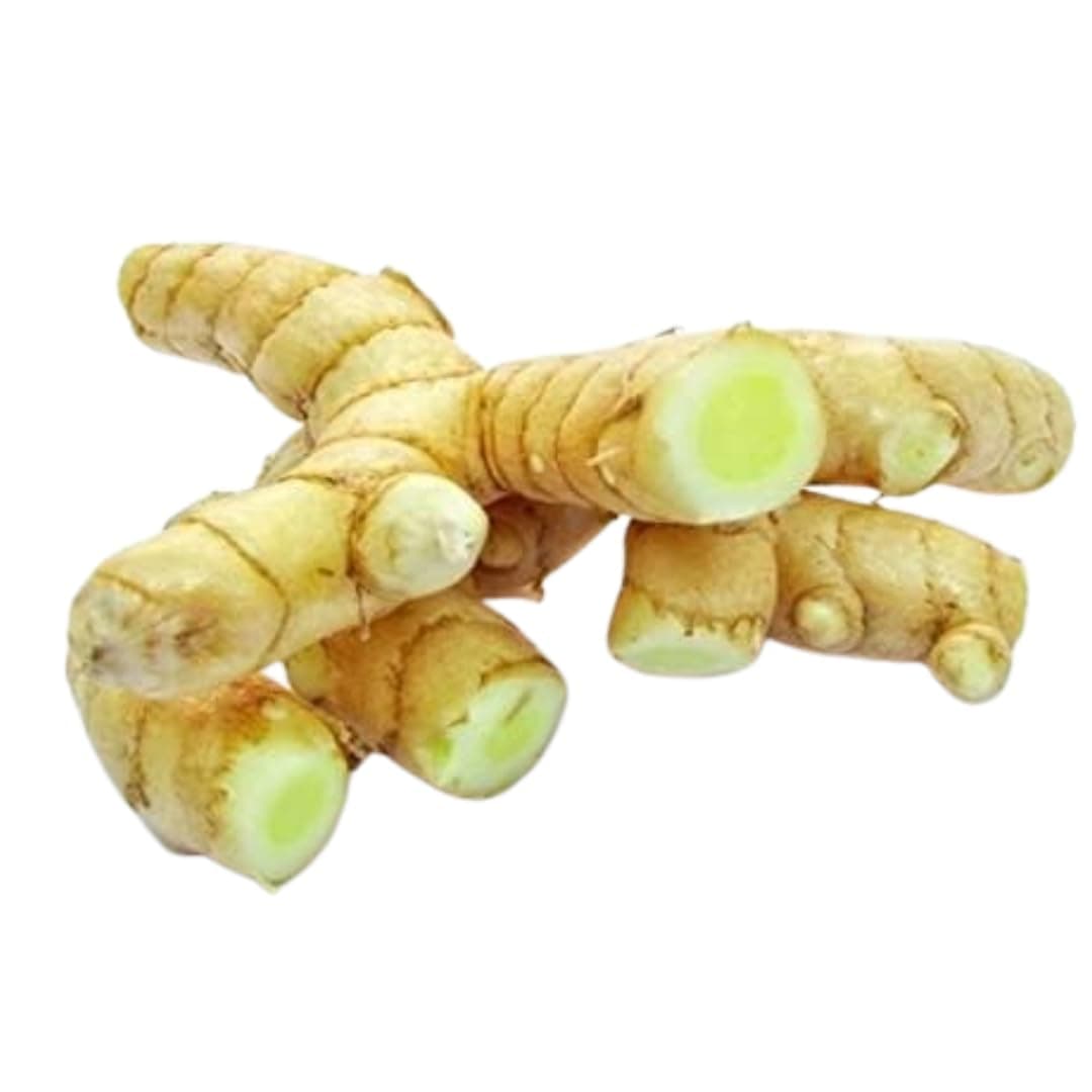 5 Rhizomes Of Mango Ginger | Amba Haldi Rhizomes For Plantation | Easy To Grow Amahaladi Indoor Plant | Fast Growing Curcuma Mangg | Curcuma Amada Rhizomes For Gardening