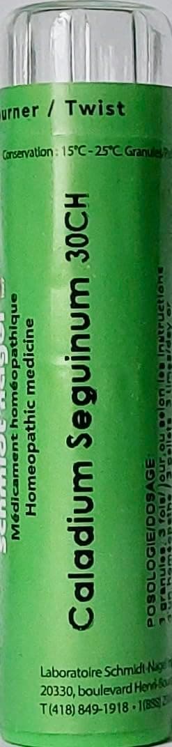 Caladium Seguinum 30CH Homeopathy Medicine Schmidt-Nagel Canada (Homeodel), 90 pellets/granules