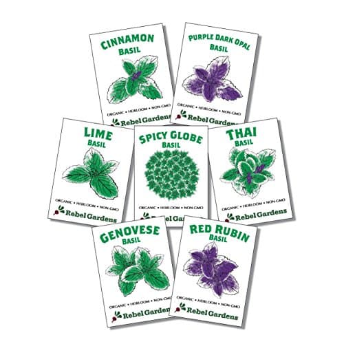 Organic Basil Seeds - Set of 7 Heirloom Non-GMO Seed Varieties - Thai, Genovese, Cinnamon, Spicy Globe, Purple Opal, Red Rubin, and Lime