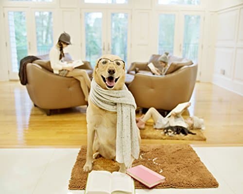 Petfiniti Dirty Dog Doormat Medium Runner Keeps House Clean-Tough,Durable and Absorbent Mat Quick Drying Microfiber Chenille Pet Mat for A Mud Free Floor-Dark Brown (Chestnut),X-Large(Runner)36x60