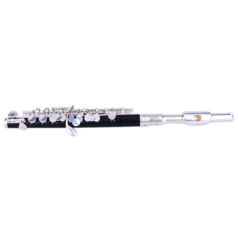 Firekingdom 12.2 Inch Cupronickel C Open Hole Tone Concert Band Piccolo Silver & Black Color With Set Kit Case Box