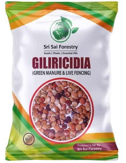 Gliricidia Sepium Tree Seeds (150 Seeds) | For Fodder Manure | Live Fencing of Agriculture Lands