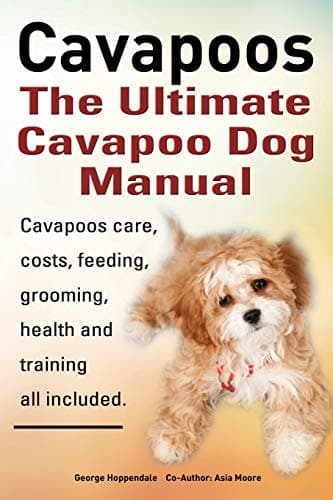 Cavapoos or Cavoodle or Cavadoodle. The Ultimate Cavapoo Dog Manual. Cavapoos care, costs, feeding, grooming, health and training.