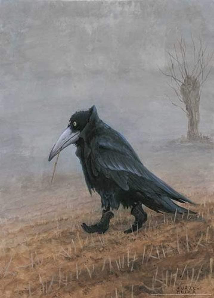 Picture Peddler Laminated Krahe Rudi Hurzlmeier Black Raven Crow in Boots Fantasy Art Print Poster 19.75x27.5