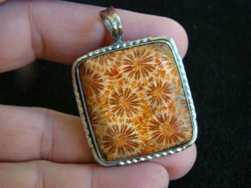 Eld6501 Rectangular Coral Fossil Cab in Silver Charm