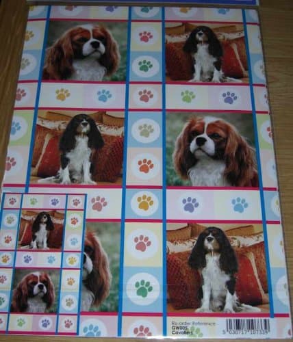 Cavalier King Charles Spaniel Dog Gift Wrapping Paper Gift Wrap and Tag Tri Blenheim Red Black Tan