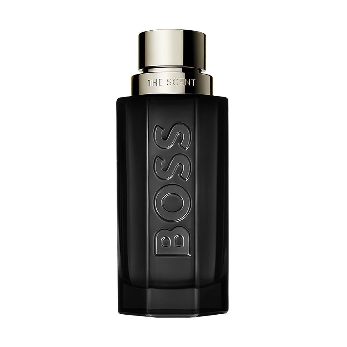BOSS The Scent Magnetic Eau de Parfum for Him 100ml (3.3oz)