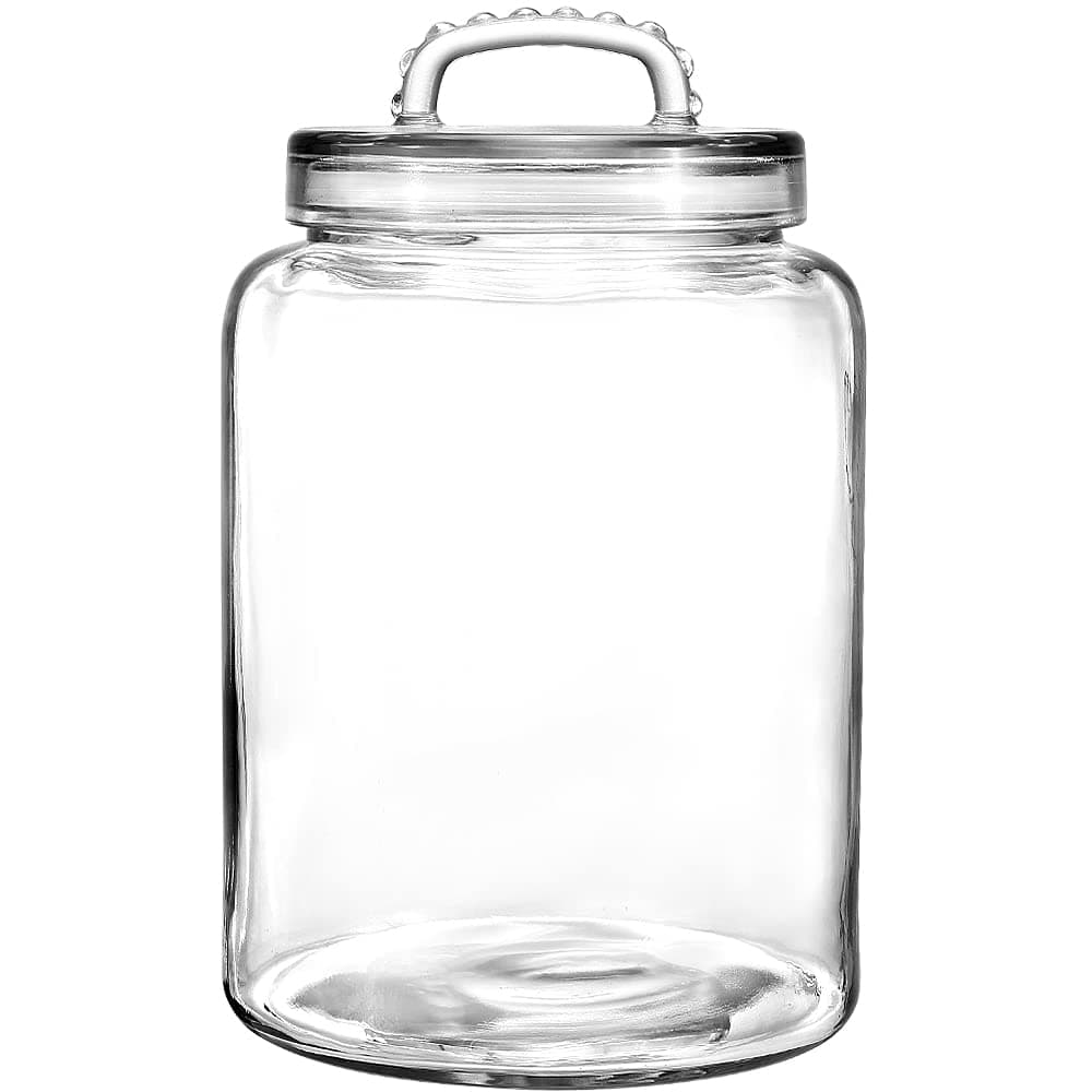 3 Gallon Glass Jar with Lid, Wide Mouth Large Glass Canister with lid, Super Large Cookie Jar for Food Storage, Sugar, Flour, Cookies,Dog Treats