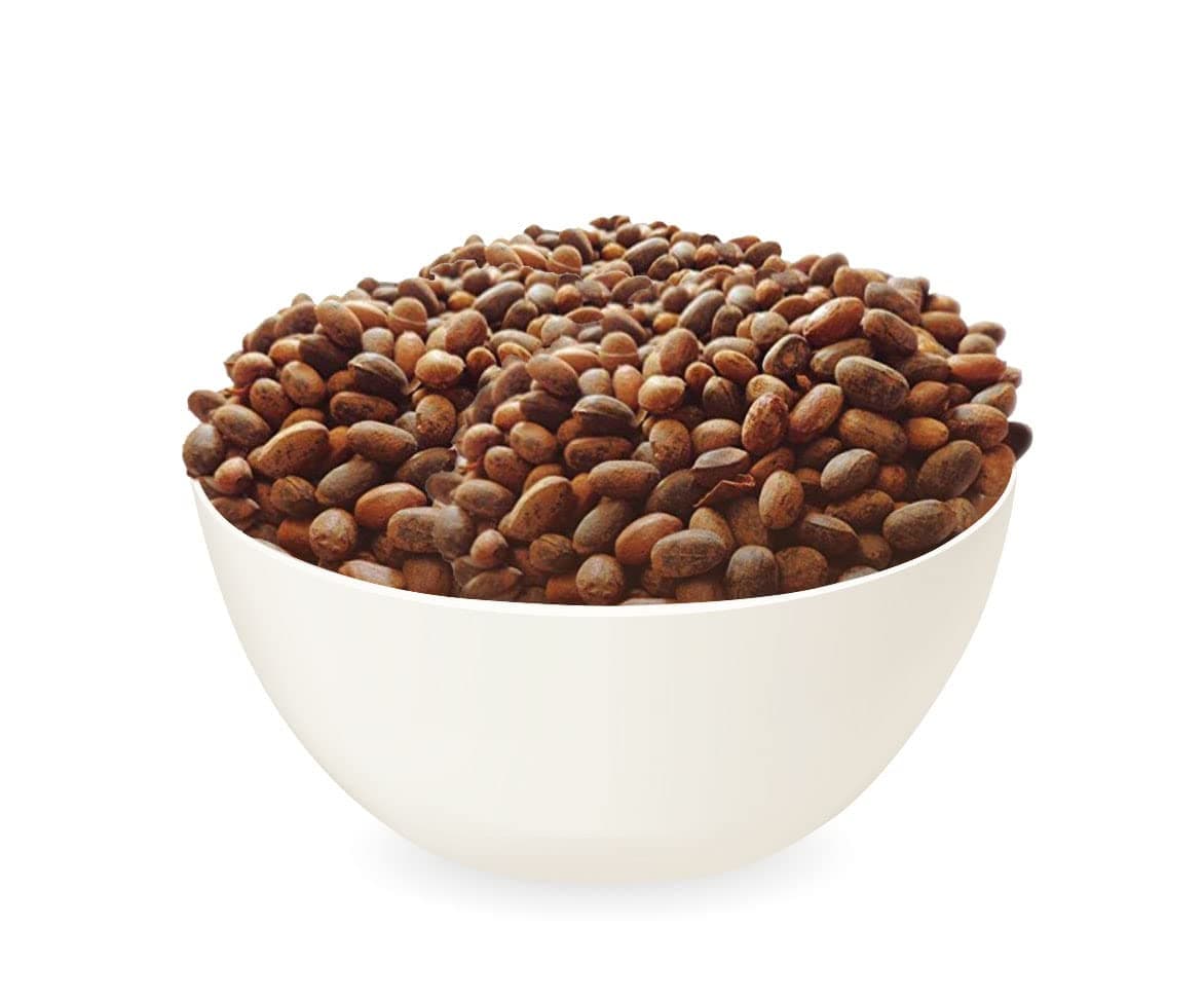 USR Jamalgota Seed | Croton Seed | Croton Tiglium Seed | Jamalghota Seed (100 Gram)