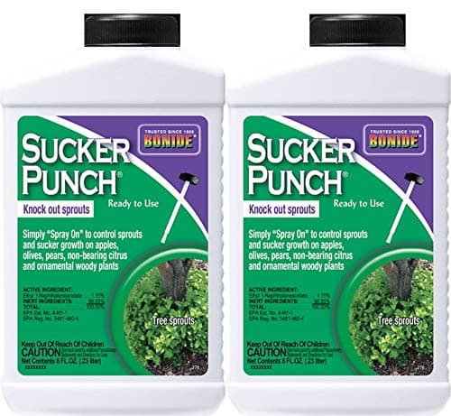 Bonide Chemical 276 Sucker Punch RTU Brush Top, 8-Ounce (Pack 2)