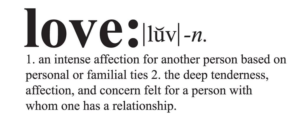 Katazoom Now! The Definition of Love - Removable Vinyl Wall Decal - 22" x 11" in Your Choice of Matte Black or Matte White Vinyl Wall Decals