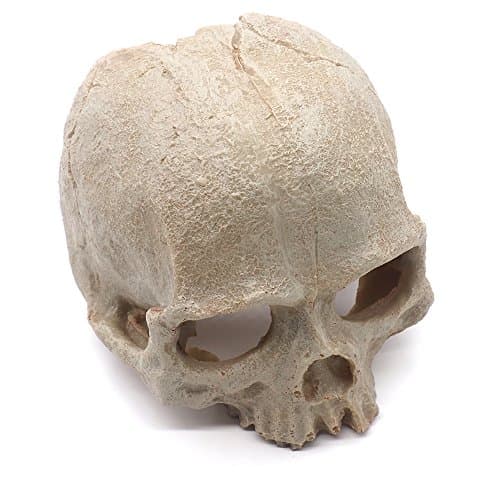 EONMIR Reptile Hideout Houses, Primate Skull Hideaway, Aquarium Fish Resin Ornament, Cave Terrarium Decor Aaccessories