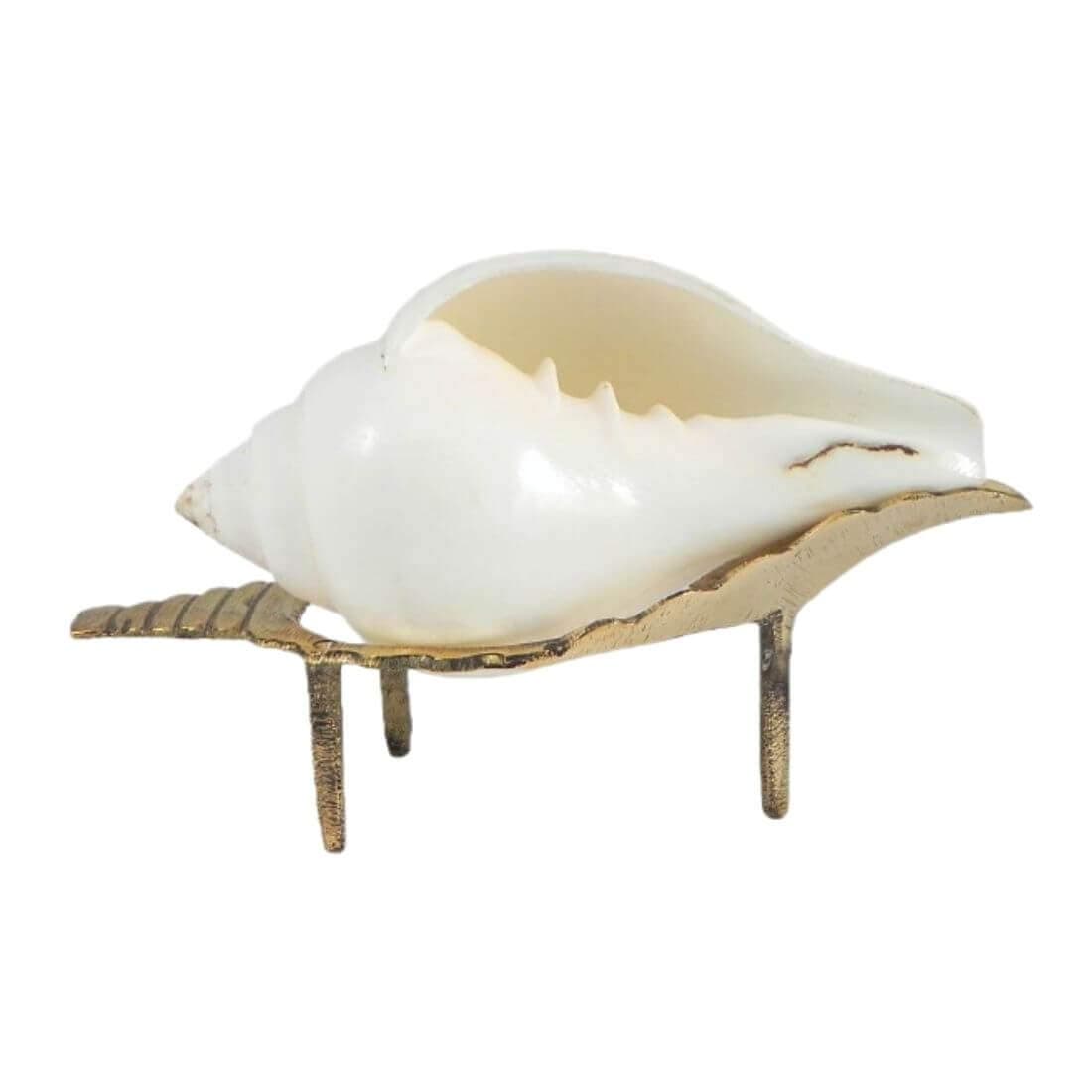 Natural Non-Blowing Puja Shankha or Jal Sankha/Pani Wala Shankh for Pooja, Aarti, Original White Conch Shells with Brass Sankha Stand (Pack of 1 Set)