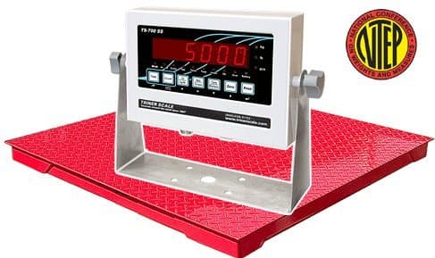 TSM5-55-B Floor Scale, 5,000 x 1 lb Capacity, 5' x 5' Deck, TS-700 MS NTEP Indicator