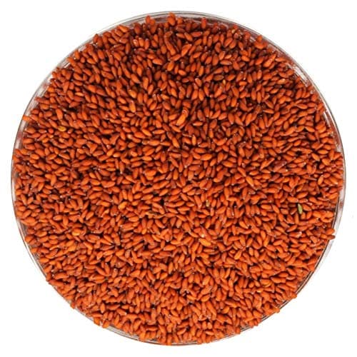 Being Marwari Garden Cress Halim Seed (Asaliya) - 100 Gm