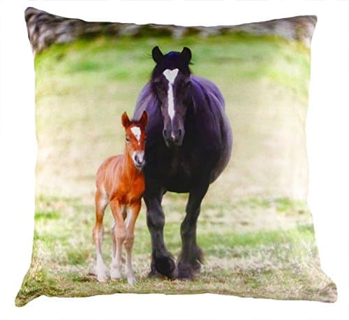 Villager Jim " Me and my Mum Horse and Foal cushion 43cm x 43cm