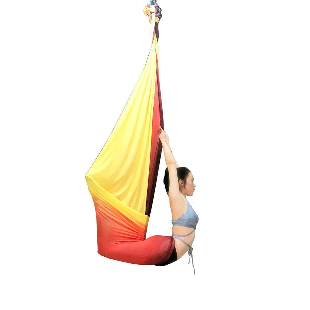 wellsem Aerial Yoga Hammock Aerial Pilates Silk Yoga Swing Set Include Carabiners Daisy Chain, Pose Guide 5.5 Yards Set