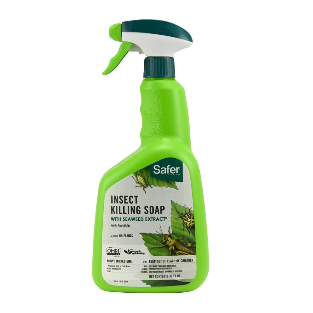 Safer Brand 5110-6 Insect Killing Soap, 32 oz.